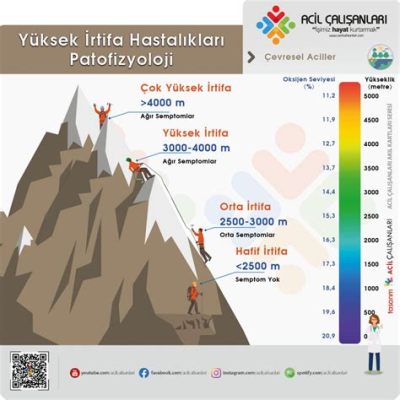  Turuncu Başlı Papağan: Yüksek İrtifa Ormanlarında Renkli Bir Hazine Mi, Yoksa Tüylerin Altında Gizli Bir Şehvetin Müjdecisi Mi?